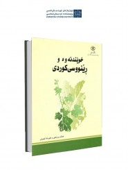 Reading and Writing in Kurdish